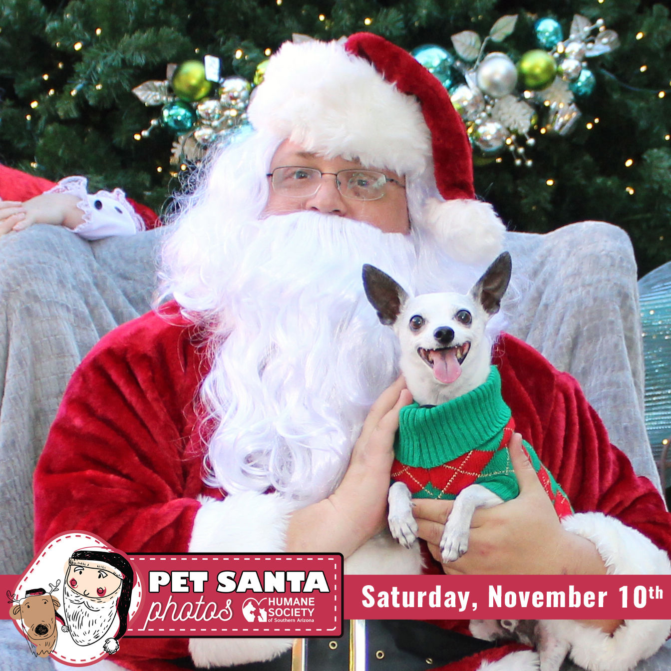 Pet Santa photos